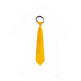 BT045 訂購純色領帶 大量訂造領帶 領帶供應商 BT045 訂購純色領帶 大量訂造領帶 領帶供應商